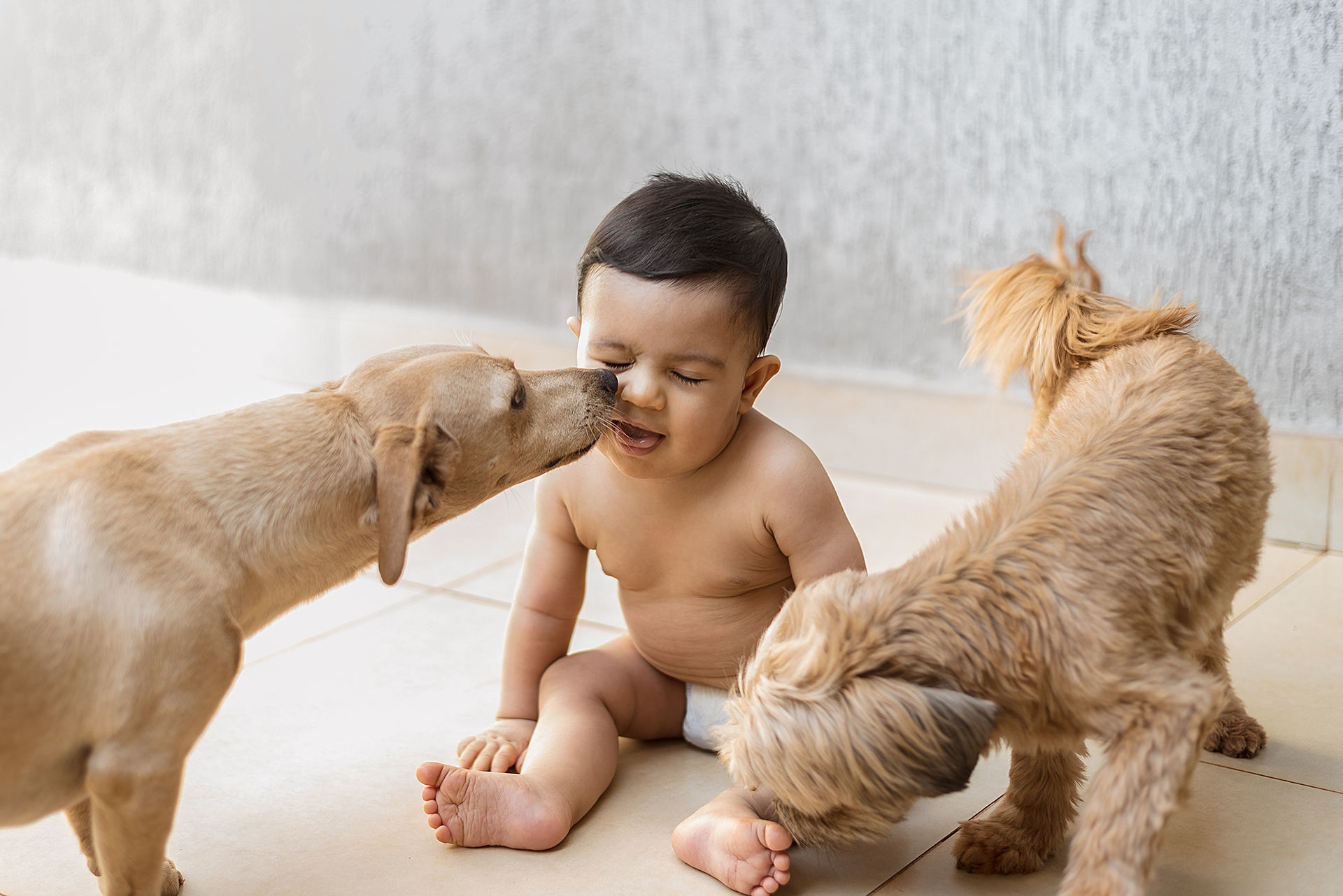 Foto 9 FOTOS QUE NÃO PODEM FALTAR NO PRIMEIRO ANO DE VIDA DO SEU BEBÊ Foto 9 FOTOS QUE NÃO PODEM FALTAR NO PRIMEIRO ANO DE VIDA DO SEU BEBÊ - Imagem 8